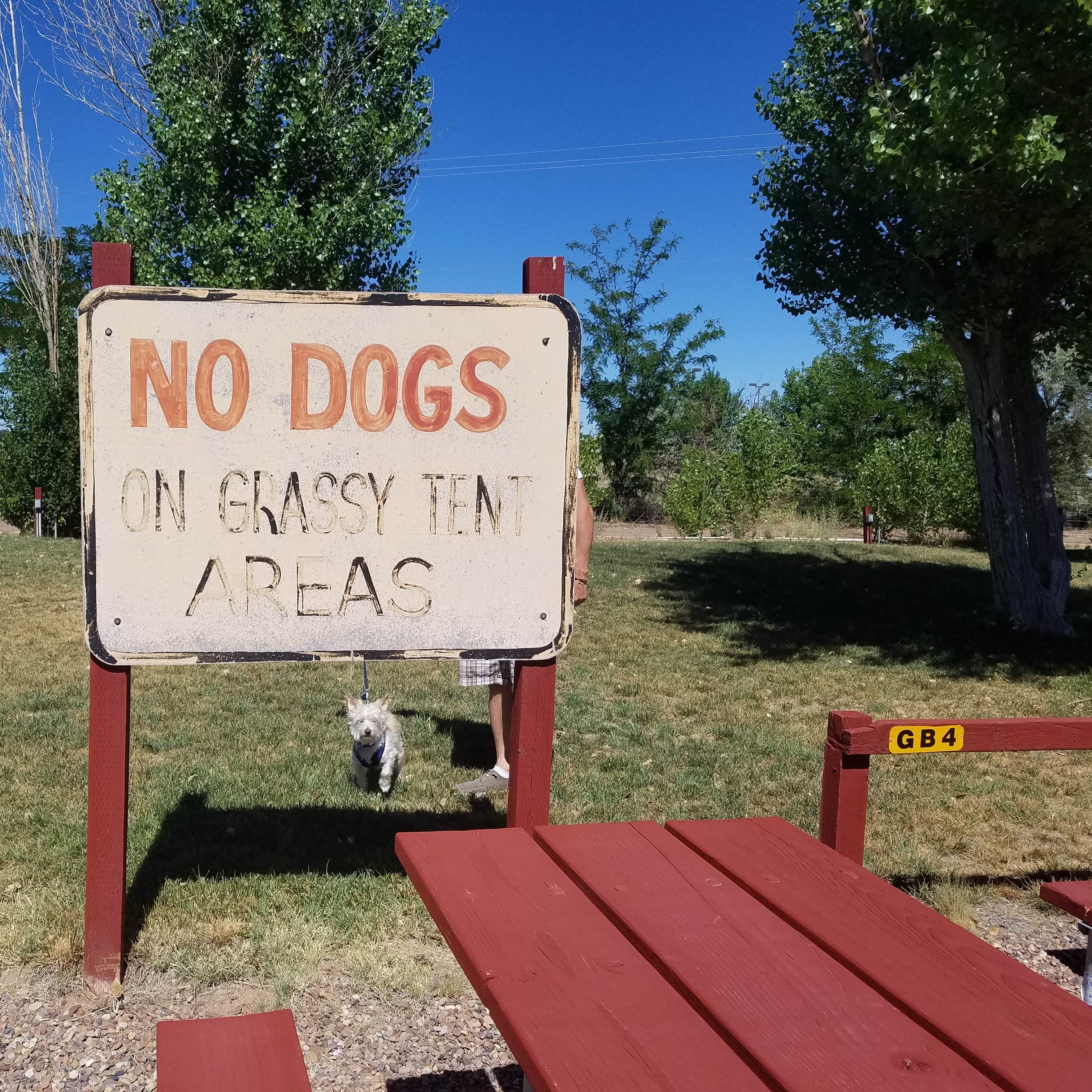 Holbrook/Petrified Forest KOA