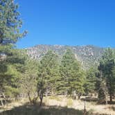 Review photo of Flagstaff KOA by Vic R., August 9, 2020