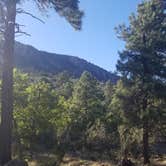 Review photo of Flagstaff KOA by Vic R., August 9, 2020