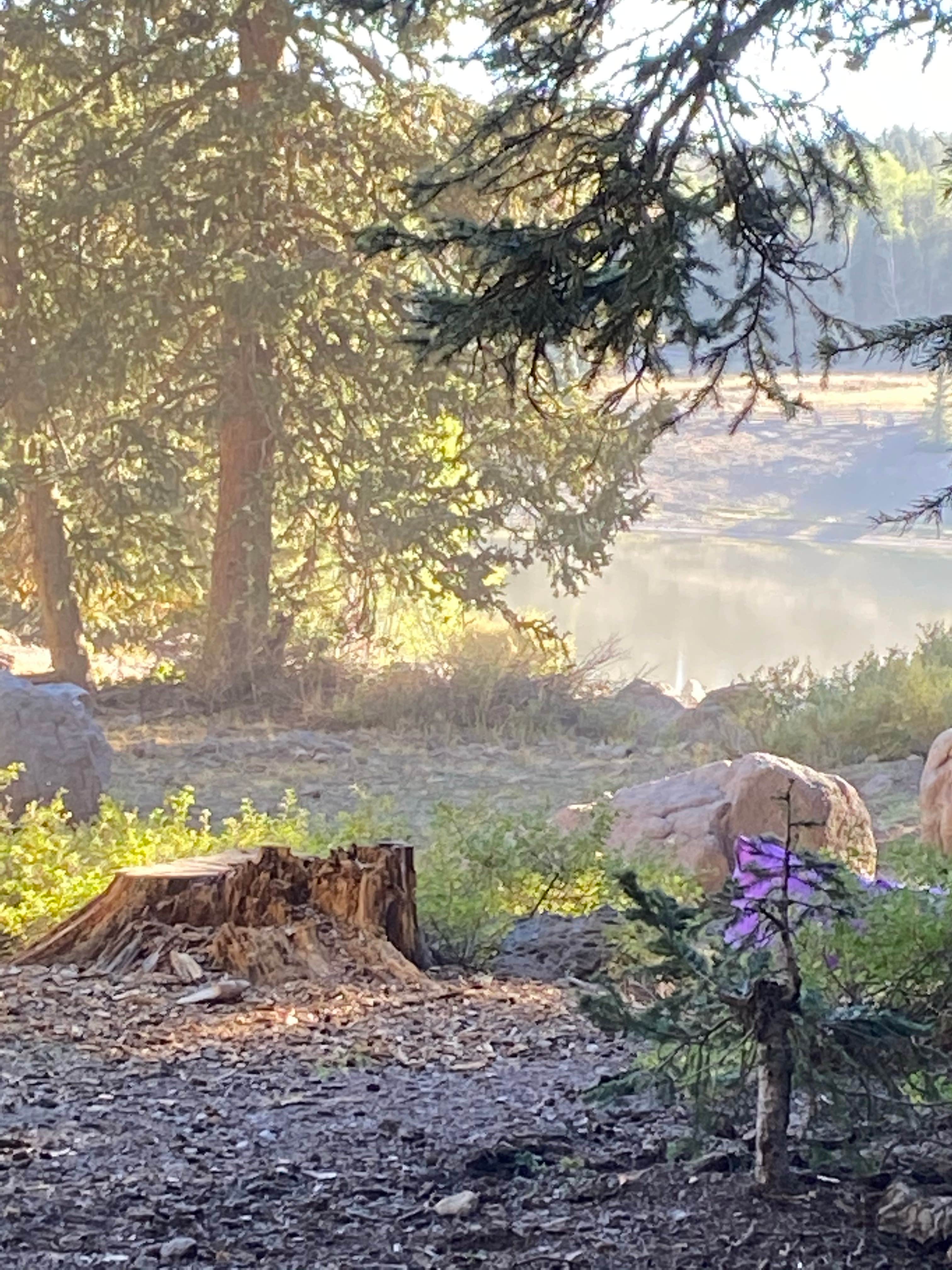 Camper submitted image from LeBaron Reservoir Campground - 4