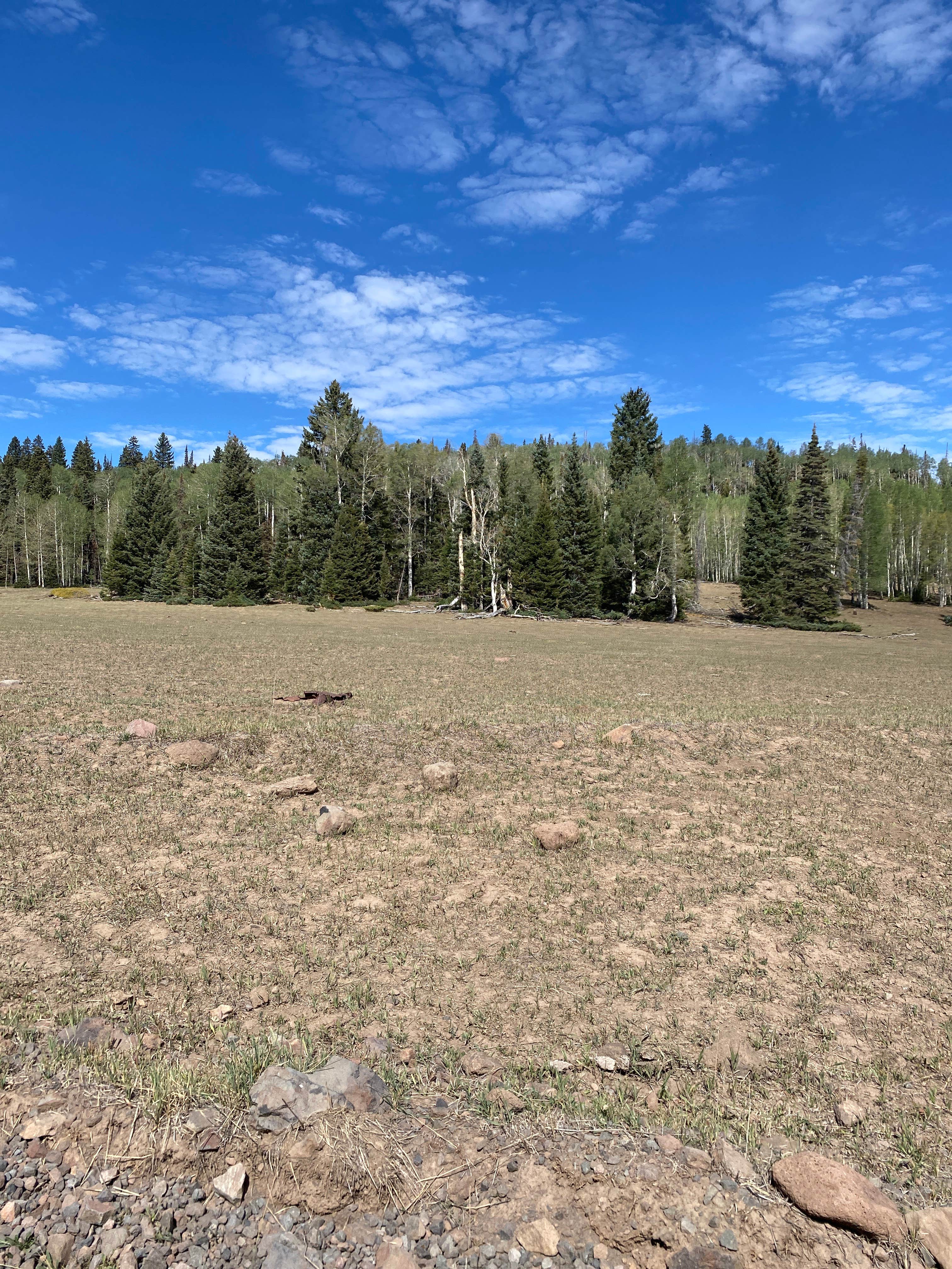 Camping near Kents Lake Campground: Betenson Flat Trailhead, Junction, Utah