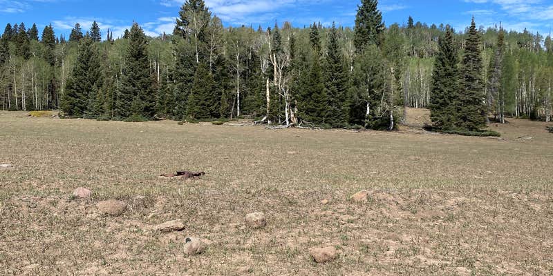 Camper submitted image from Betenson Flat Trailhead