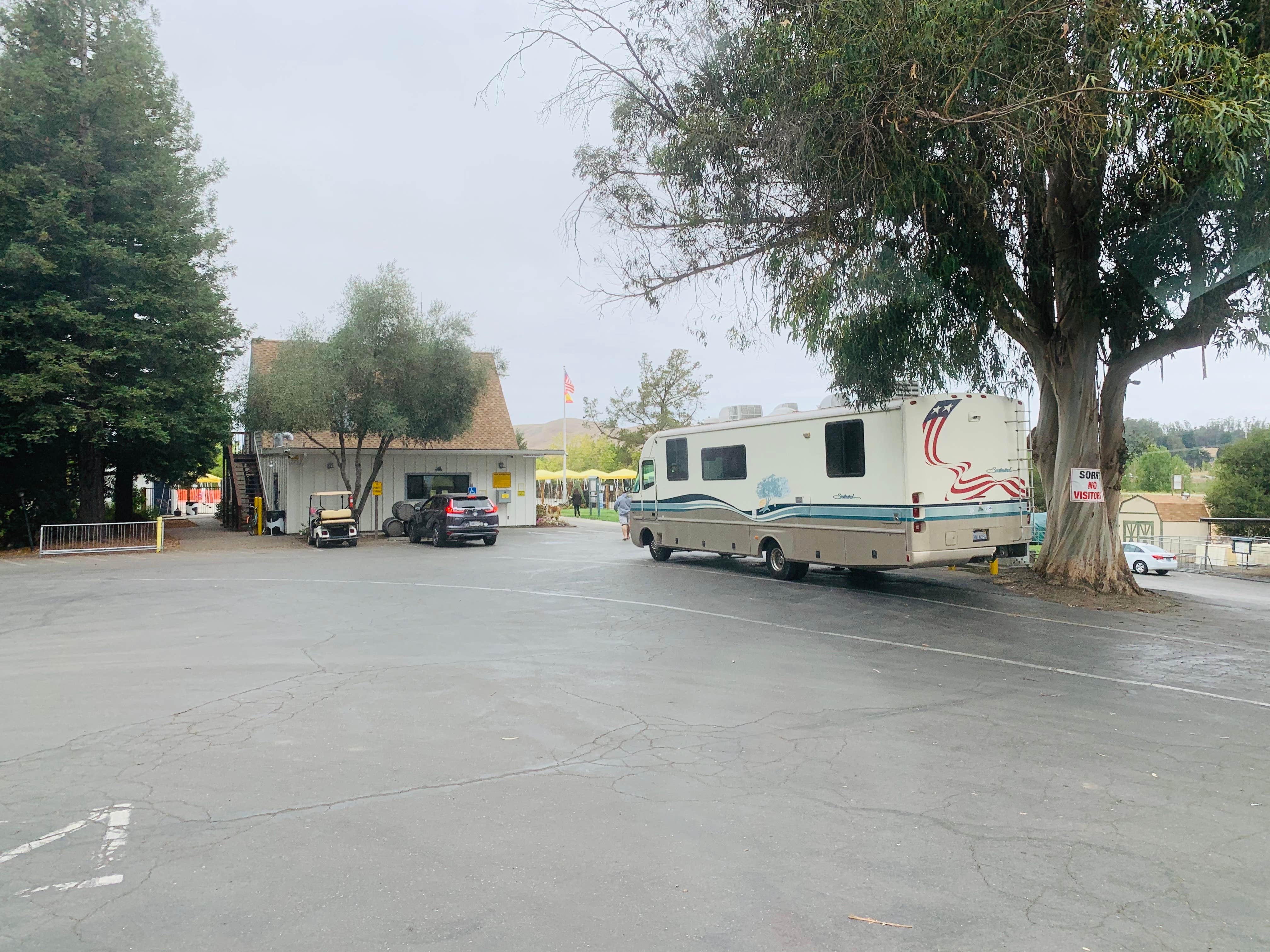 Camper submitted image from San Francisco North-Petaluma KOA - 2