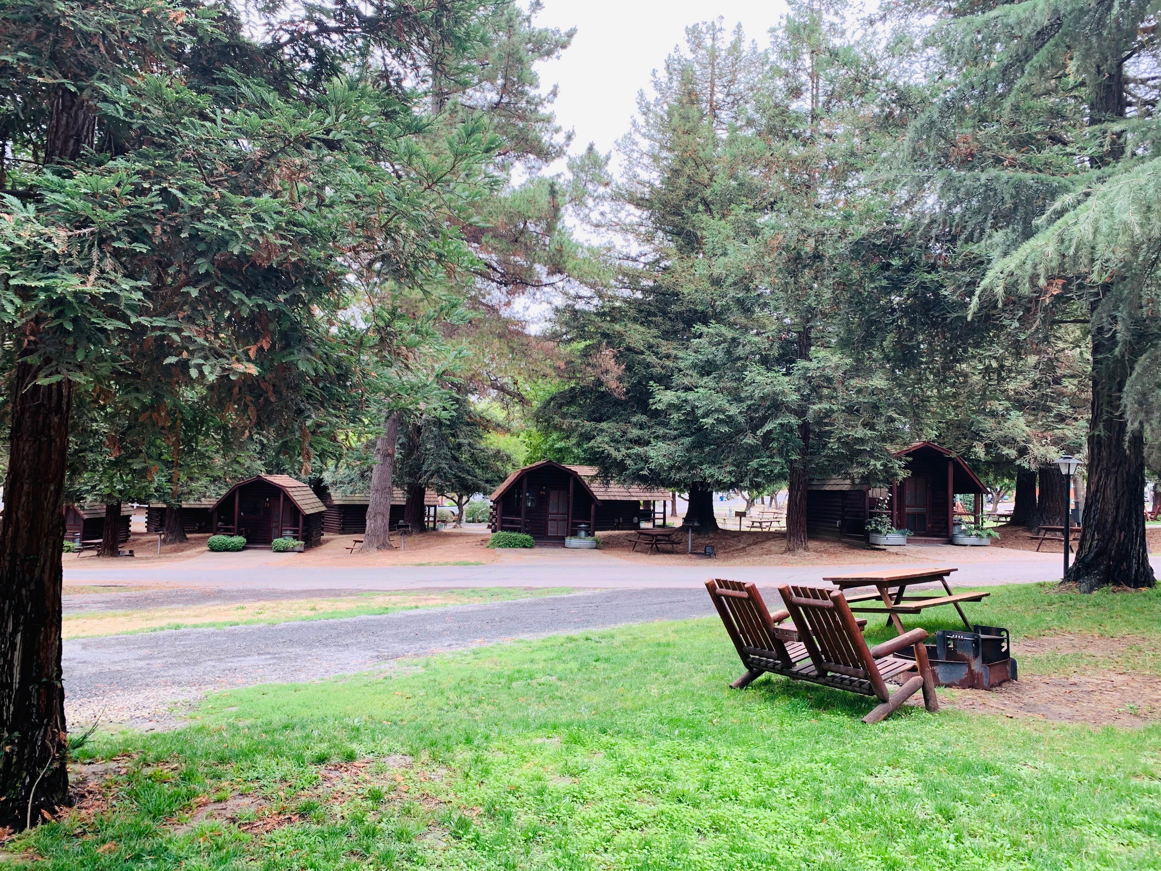 Camper submitted image from San Francisco North-Petaluma KOA - 4