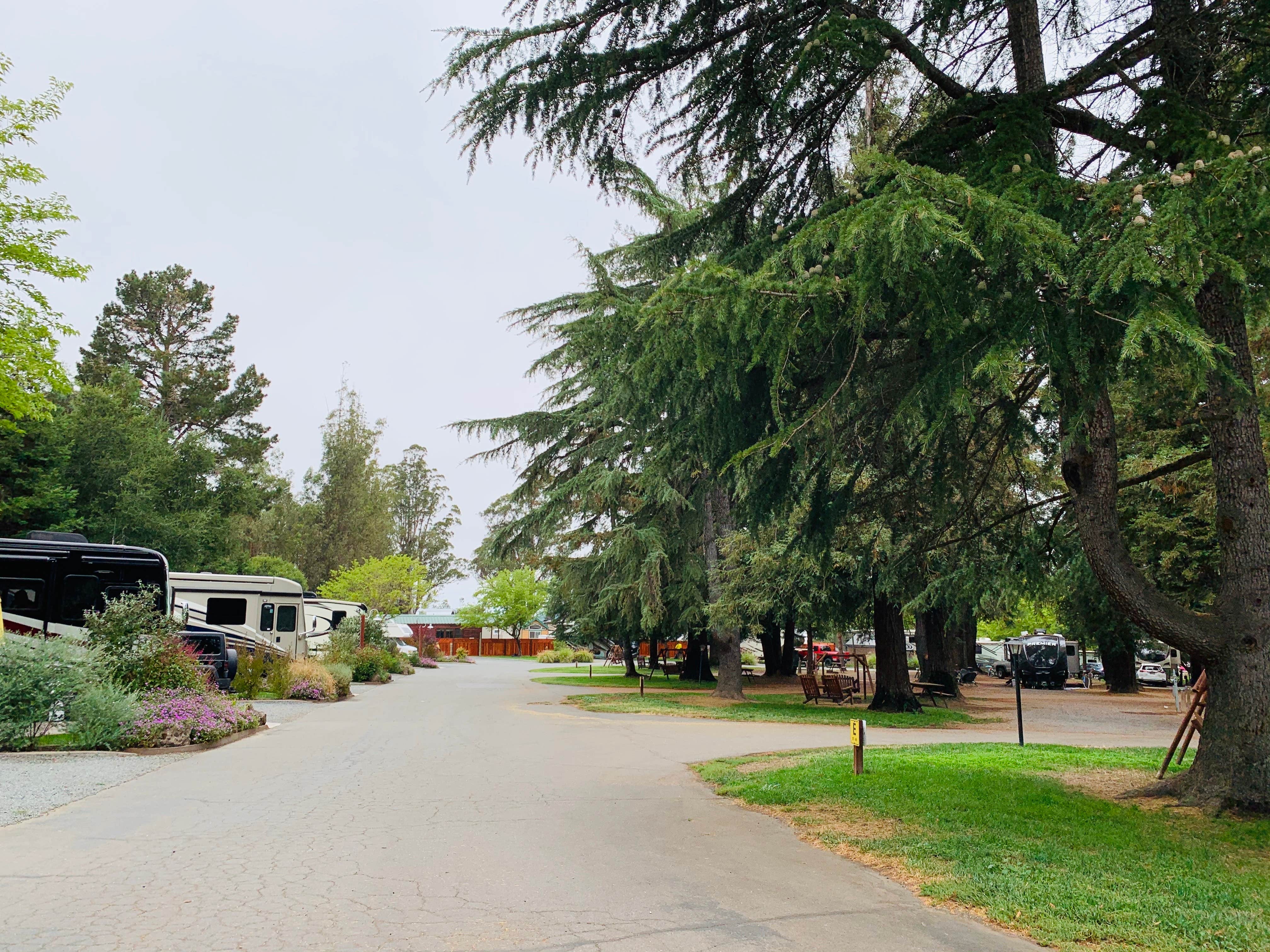 Camper-submitted photo at San Francisco North-Petaluma KOA near Yountville, CA