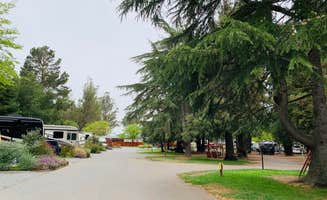 Penélope F.'s photo of rv camping at San Francisco North-Petaluma KOA near Healdsburg, CA