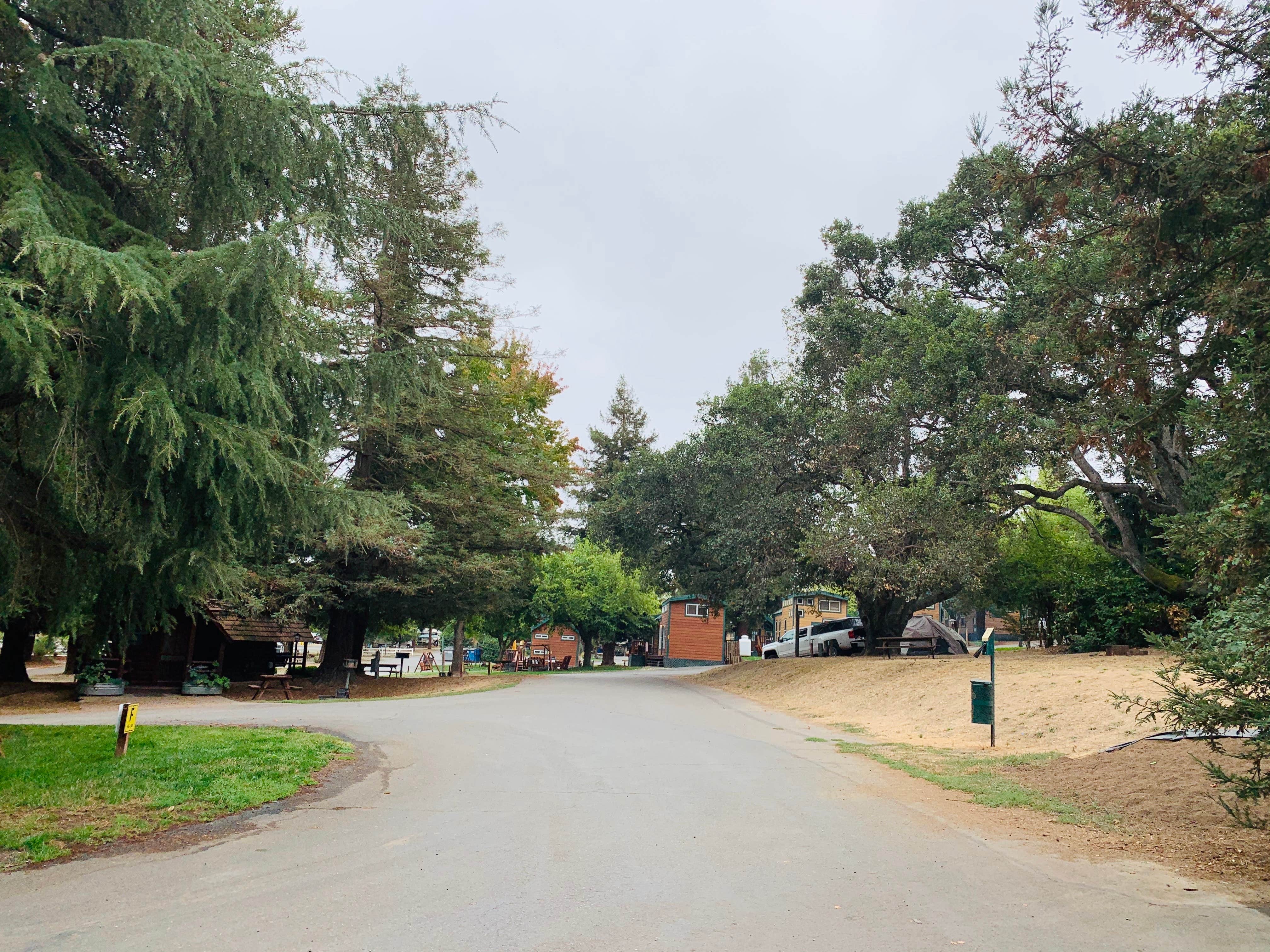 Camper-submitted photo at San Francisco North-Petaluma KOA near Yountville, CA