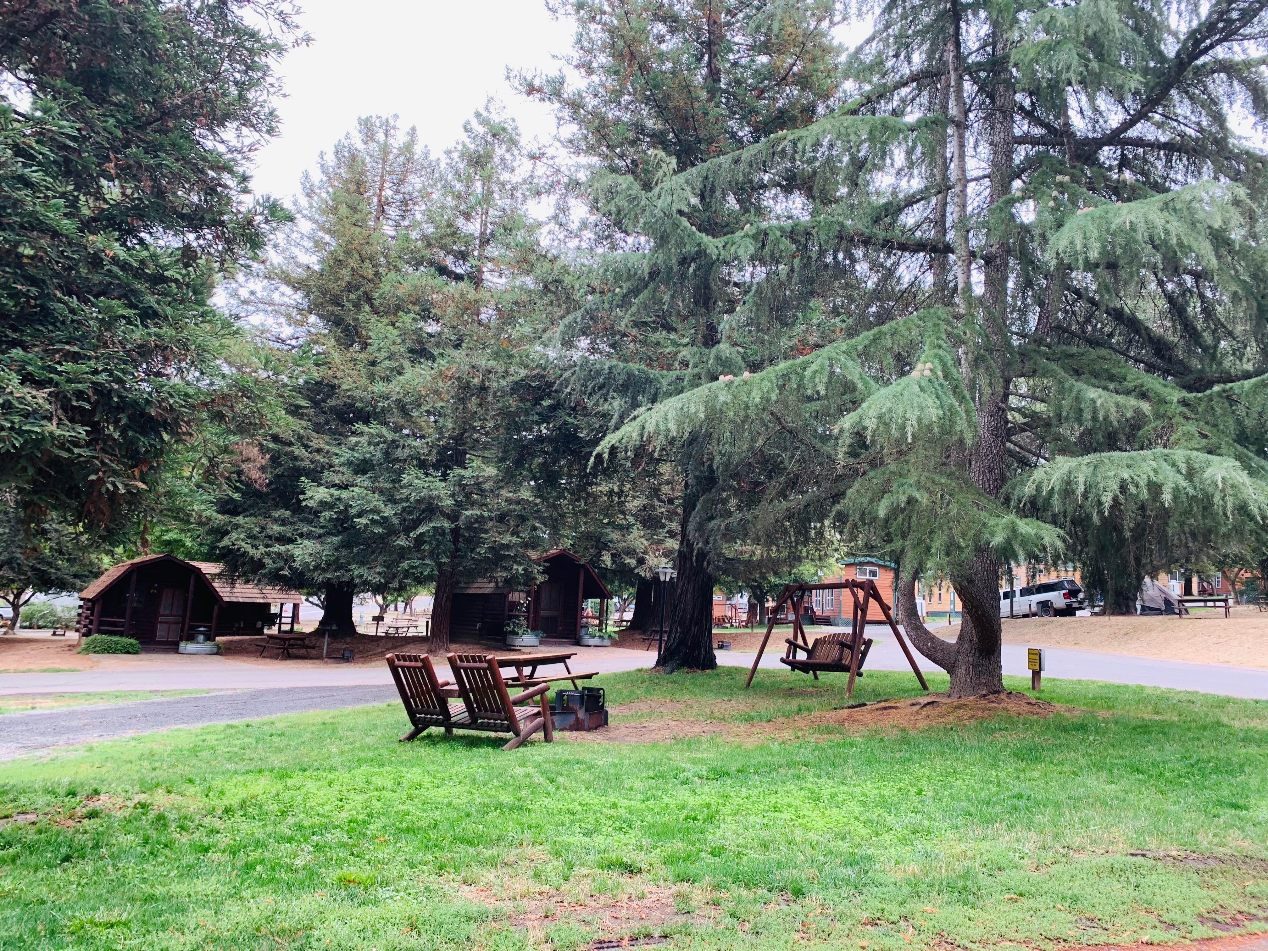 Camper-submitted photo at San Francisco North-Petaluma KOA near Yountville, CA