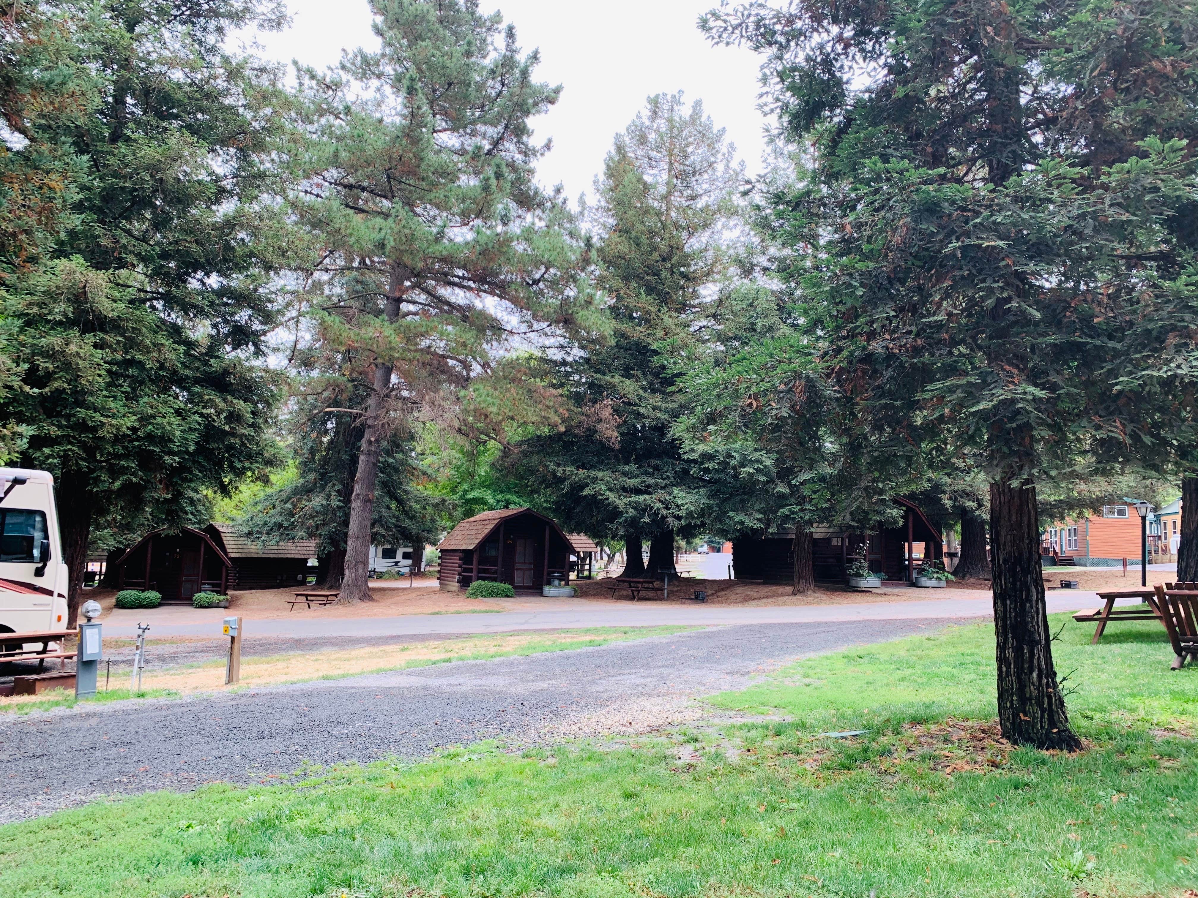 Camper-submitted photo at San Francisco North-Petaluma KOA near Yountville, CA