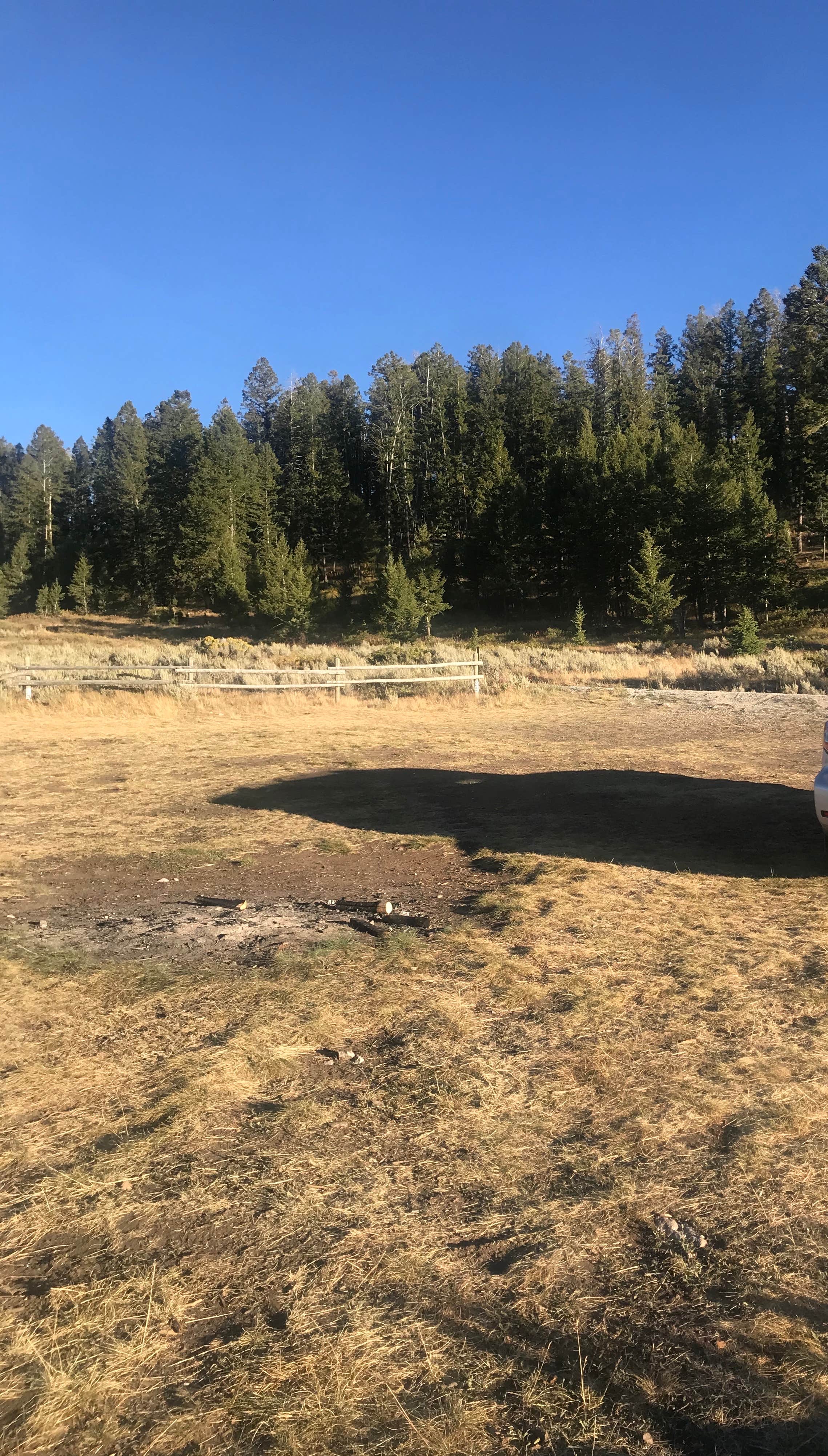 Camper-submitted photo at Curtis Canyon Dispersed Camping near Grand Teton National Park