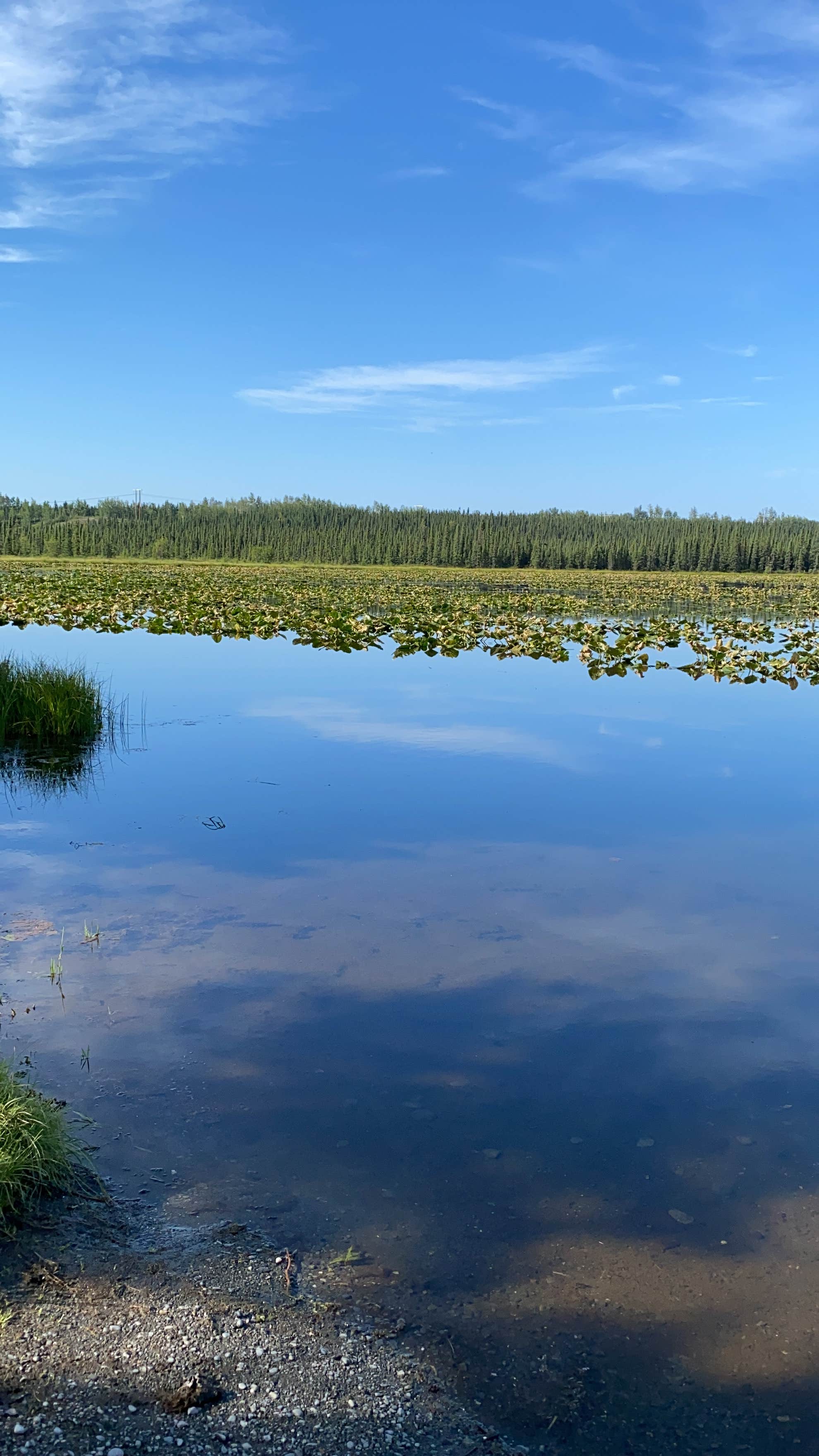 Camper submitted image from Watson Lake - 3