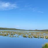 Review photo of Watson Lake by Tanya B., September 7, 2020