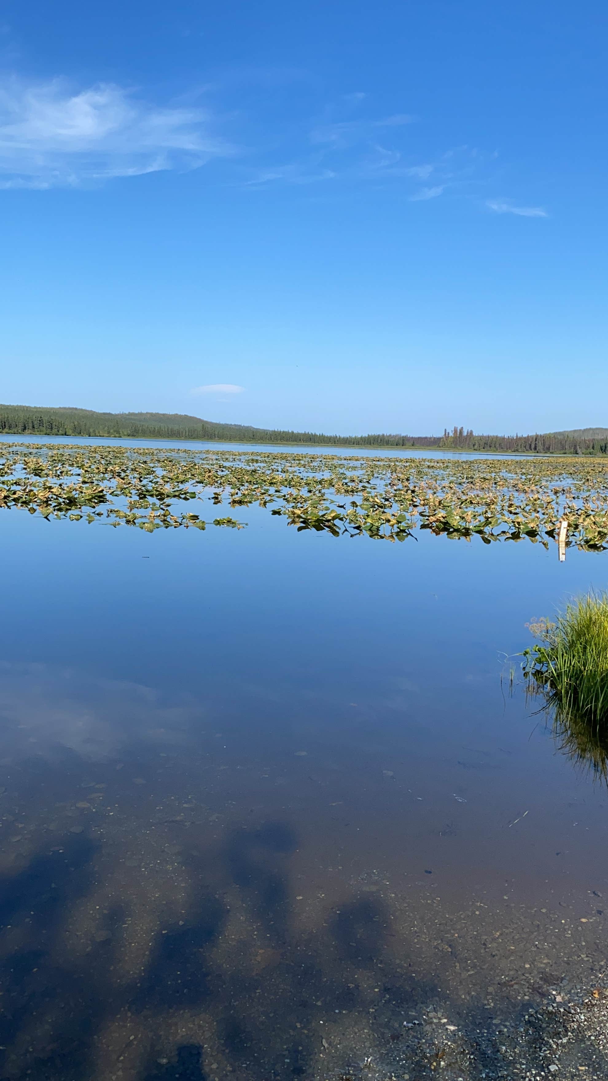 Camper submitted image from Watson Lake - 1