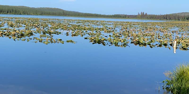 Camper submitted image from Watson Lake