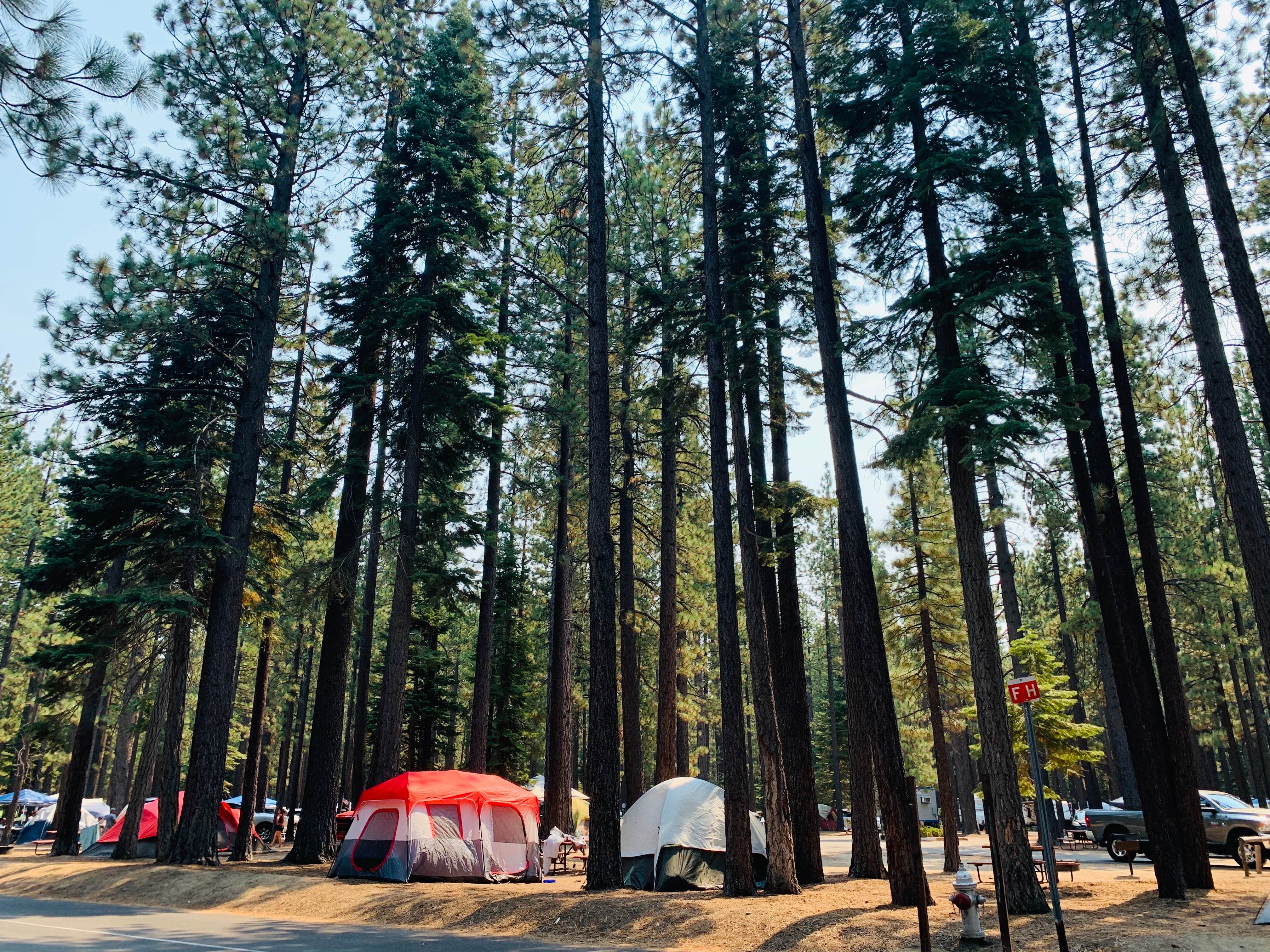 Penélope F.'s photo at Tahoe Valley Campground near Minden, NV