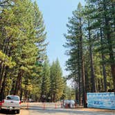 Review photo of Tahoe Valley Campground by Penélope F., September 7, 2020