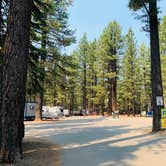 Review photo of Tahoe Valley Campground by Penélope F., September 7, 2020