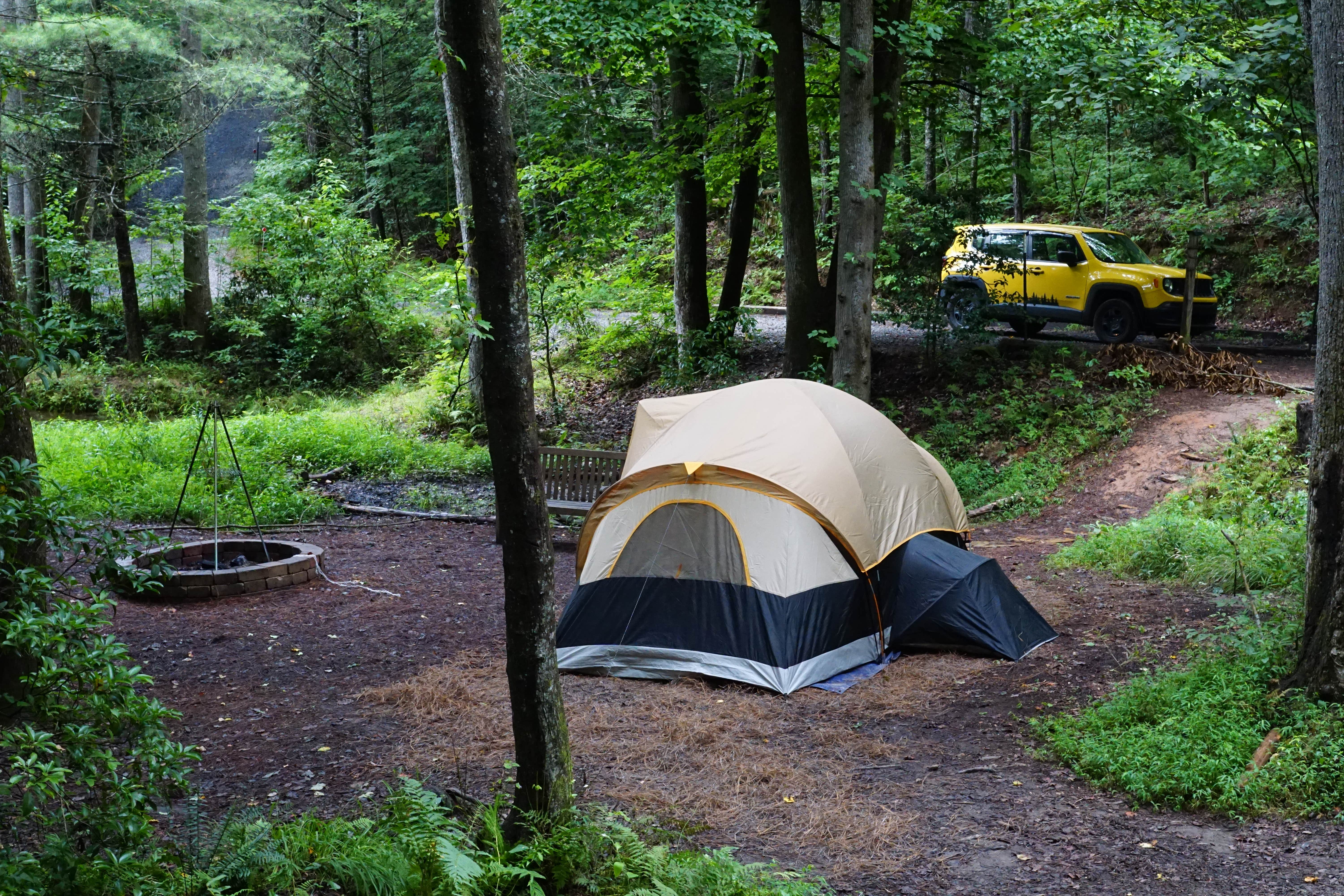 Melissa  R.'s photo of tent camping at Your Toccoa River Cove near Murphy, NC