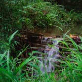 Review photo of Your Toccoa River Cove by Melissa  R., September 7, 2020