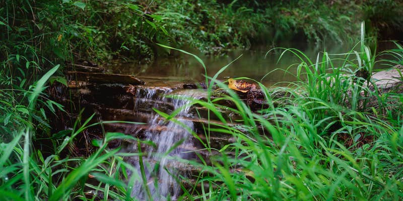 Camper submitted image from Your Toccoa River Cove