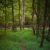 Review photo of Your Toccoa River Cove by Melissa  R., September 7, 2020