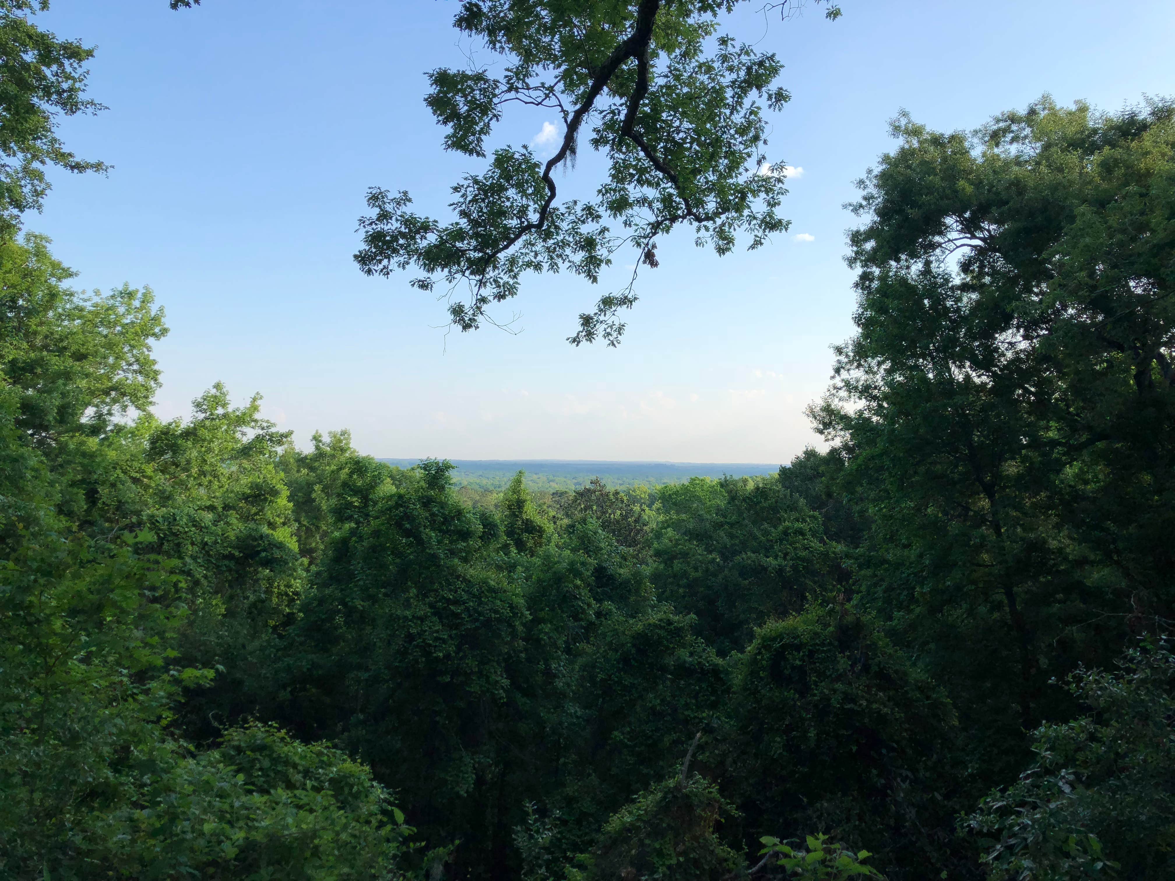 Camper-submitted photo at Torreya State Park Campground near Sneads, FL