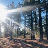 Review photo of Tom Best Spring Road FR117 Dispersed - Dixie National Forest by Meghan A., September 7, 2020