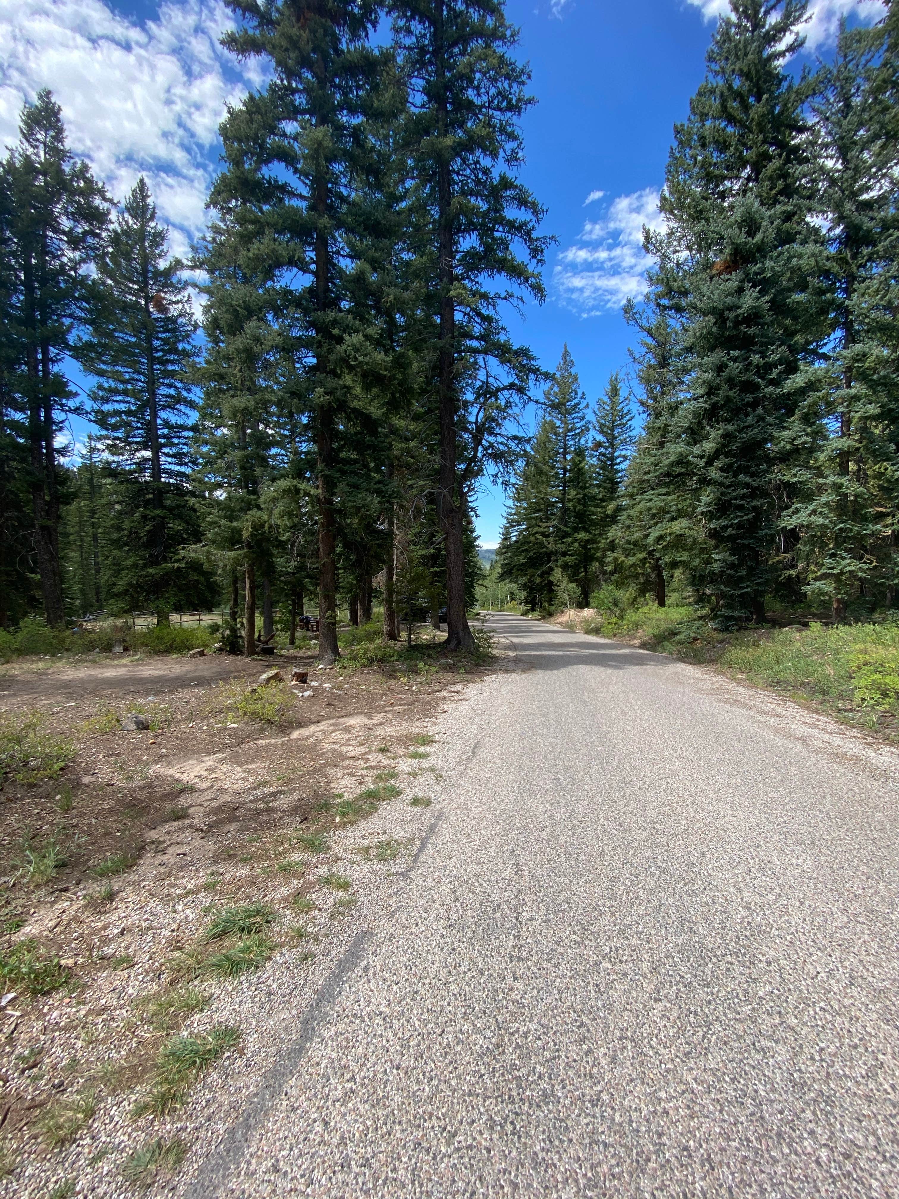 Camper-submitted photo at Cedar Canyon near Duck Creek Village, UT