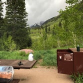 Review photo of White River National Forest Silver Bell Campground by Erik S., September 7, 2020
