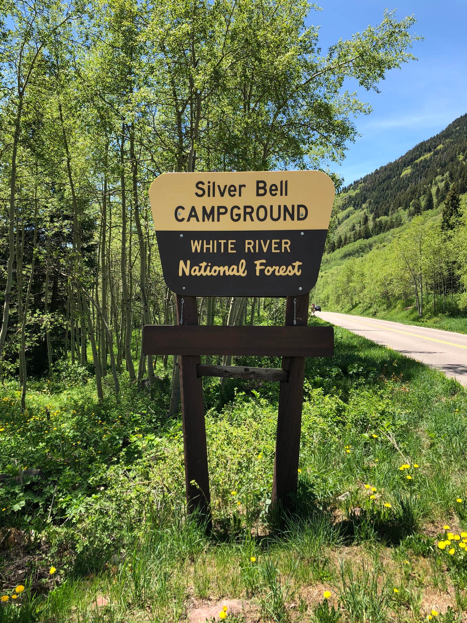 Camper-submitted photo at White River National Forest Silver Bell Campground near Snowmass Village, CO