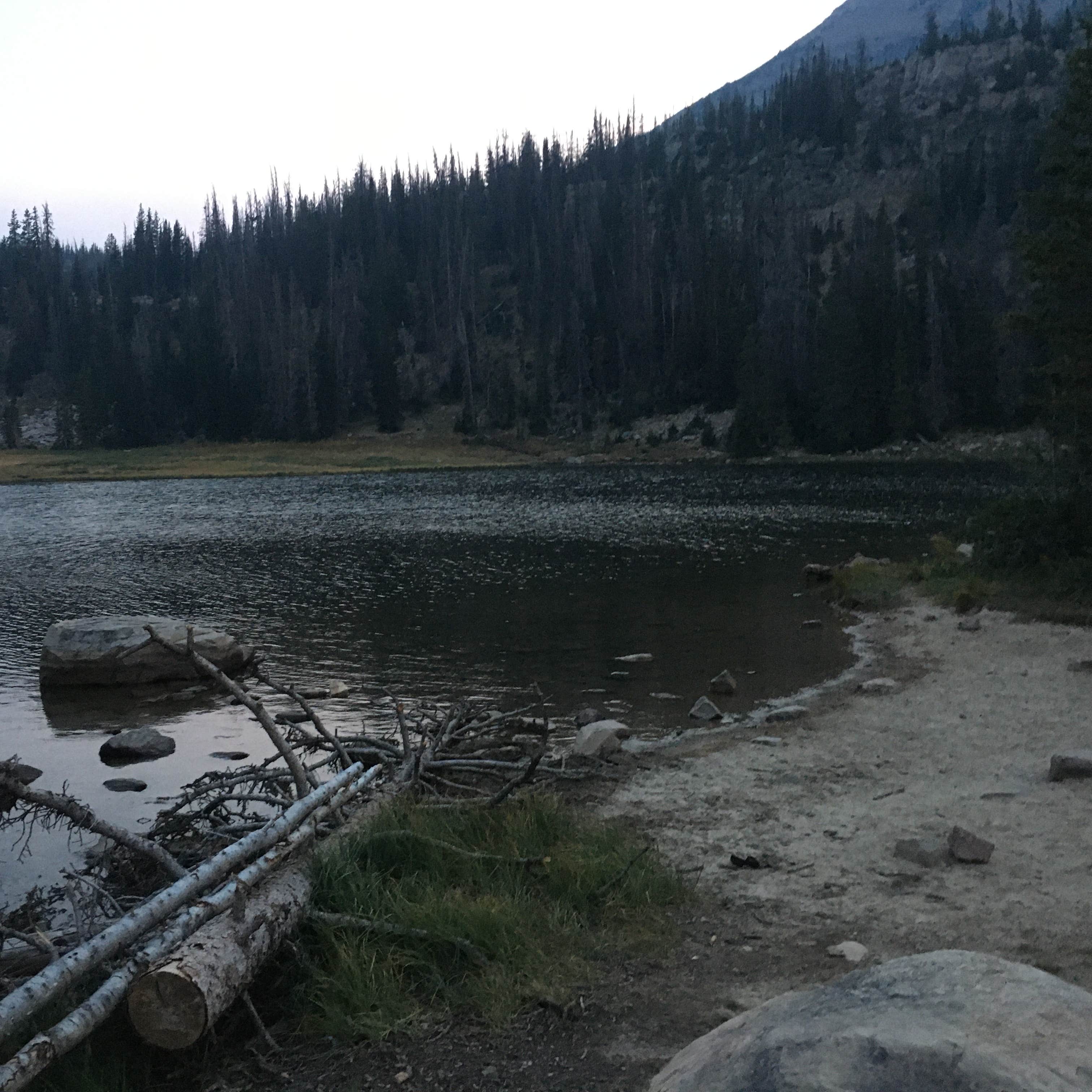 Wasatch National Forest Moosehorn Campground Camping The Dyrt