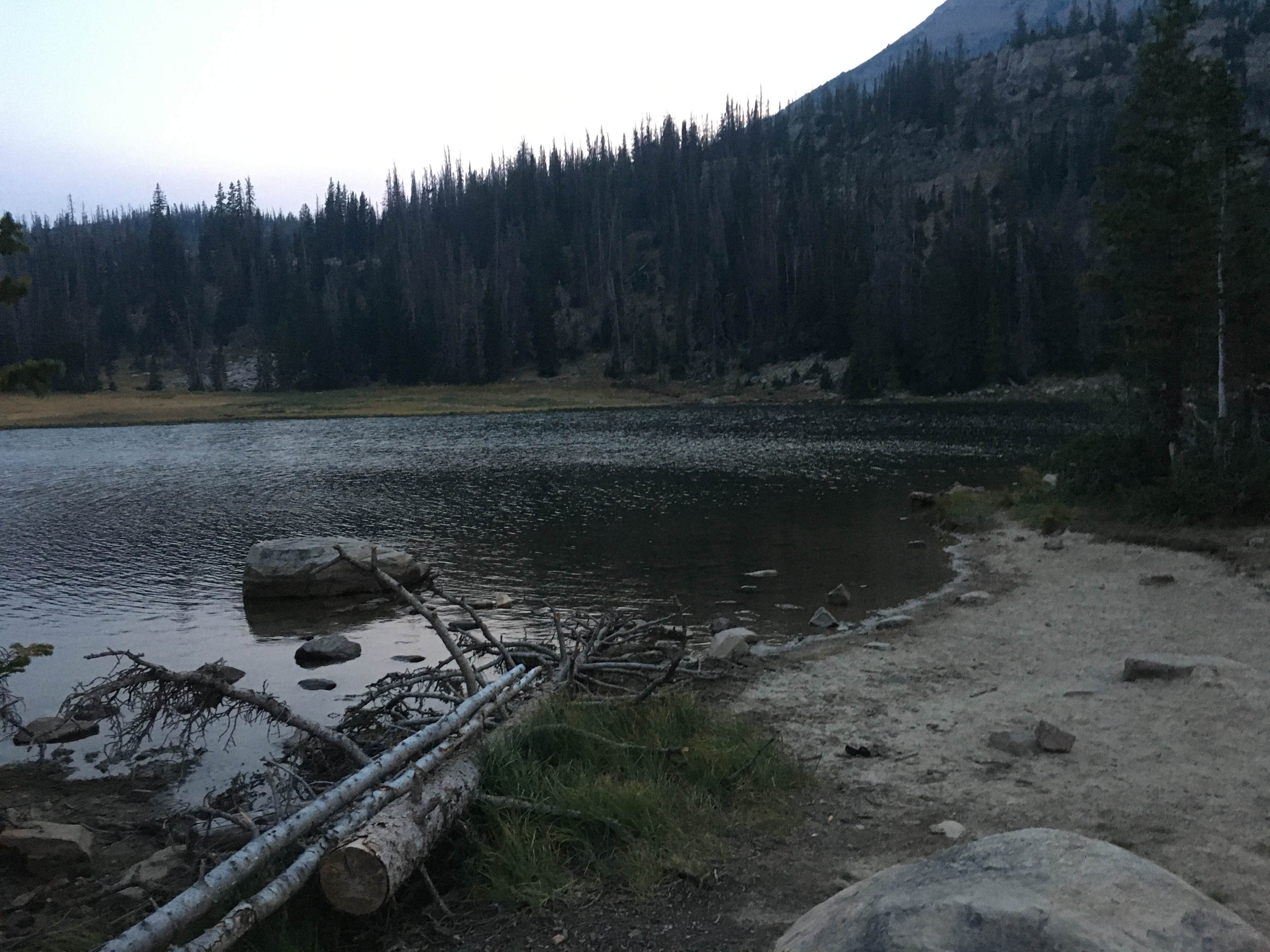 Camper submitted image from Wasatch National Forest Moosehorn Campground - 4