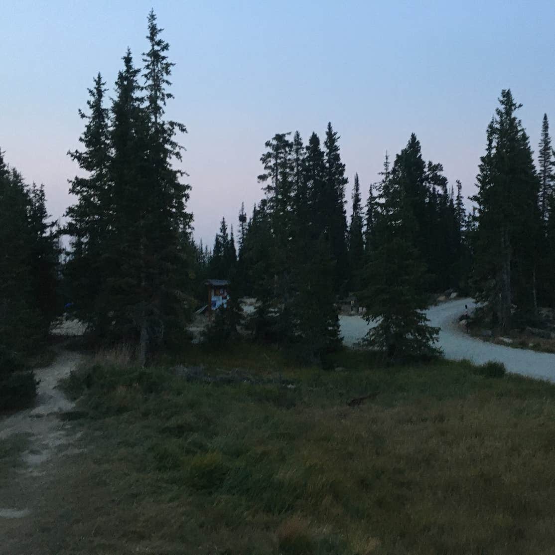 Wasatch National Forest Moosehorn Campground Camping The Dyrt