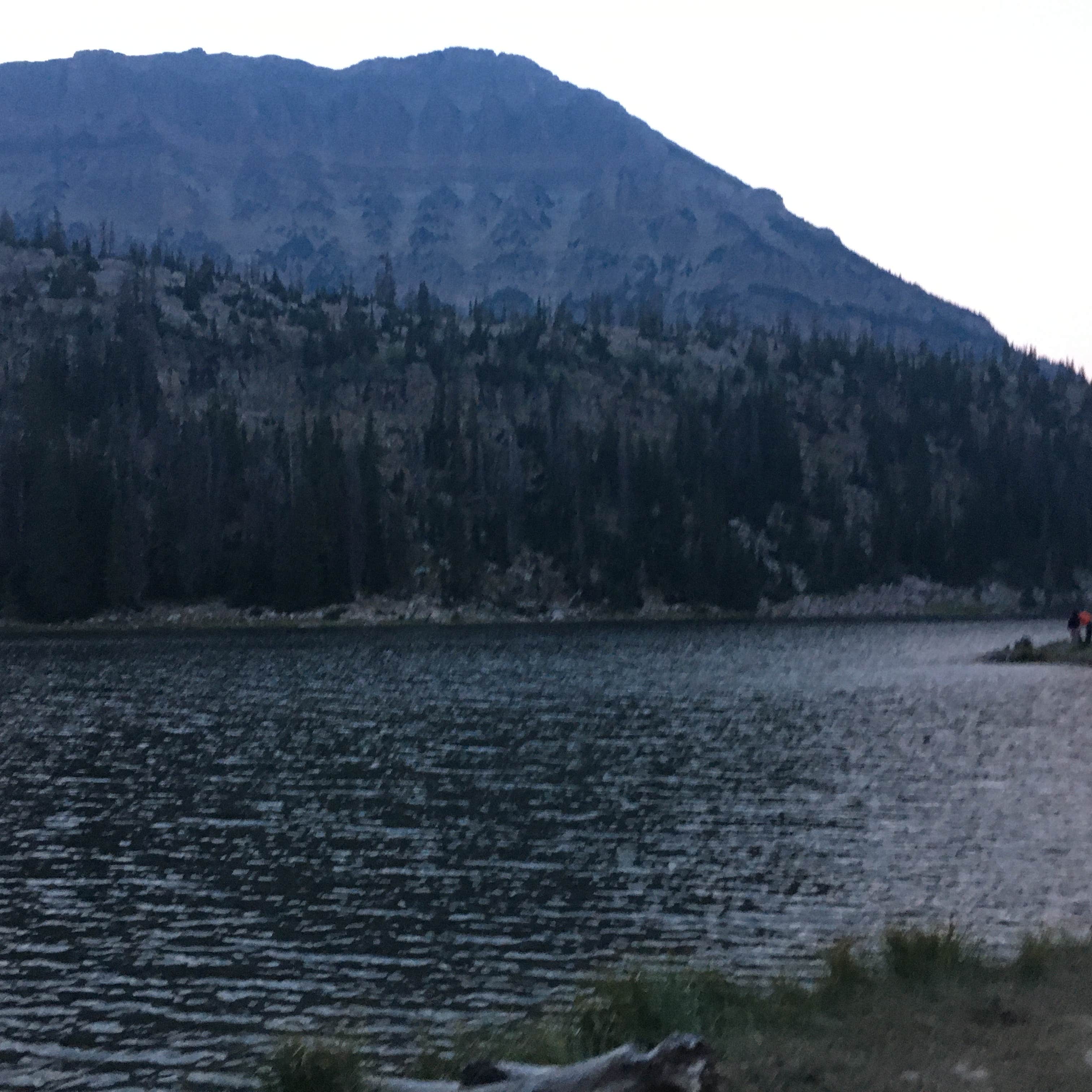 Wasatch National Forest Moosehorn Campground Camping The Dyrt