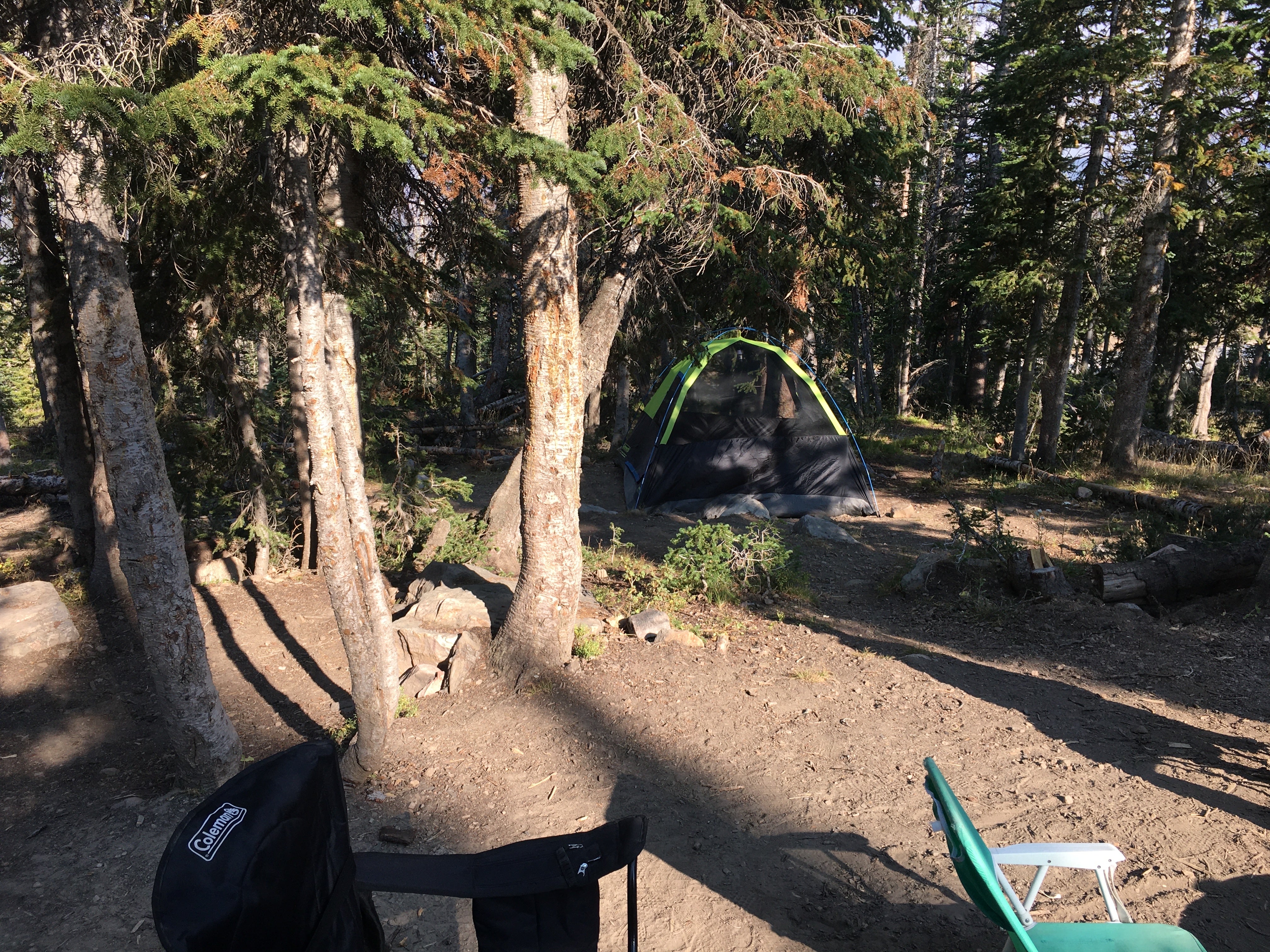 Camper submitted image from Wasatch National Forest Moosehorn Campground - 1