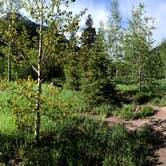 Review photo of White River National Forest Silver Bell Campground by Erik S., September 7, 2020