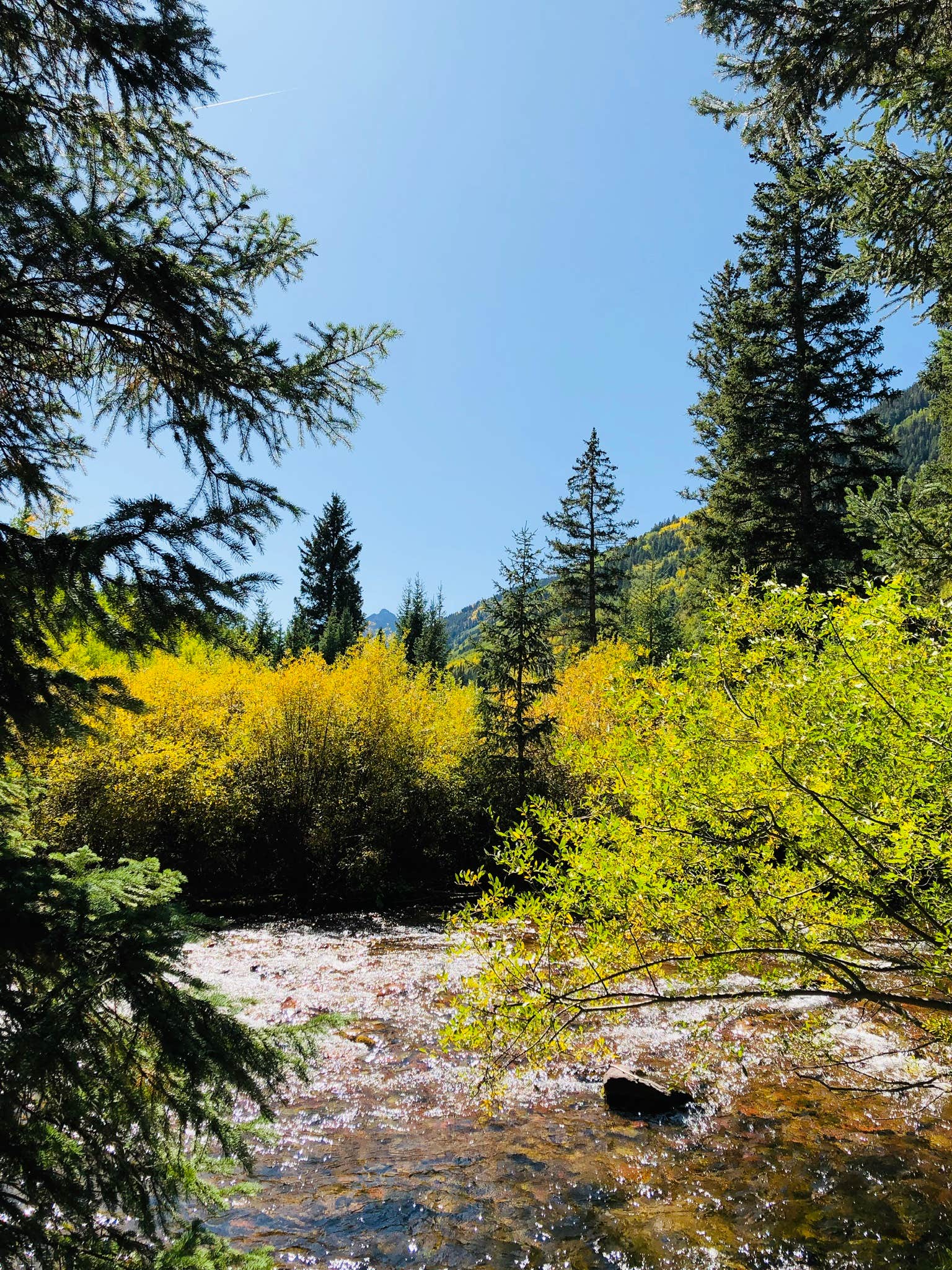 Camper-submitted photo at White River National Forest Silver Bell Campground near Snowmass Village, CO
