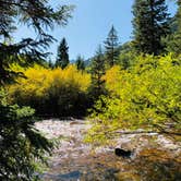 Review photo of White River National Forest Silver Bell Campground by Erik S., September 7, 2020