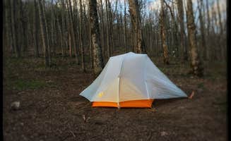 Amy G.'s photo of tent camping at Low Gap near Dawsonville, GA