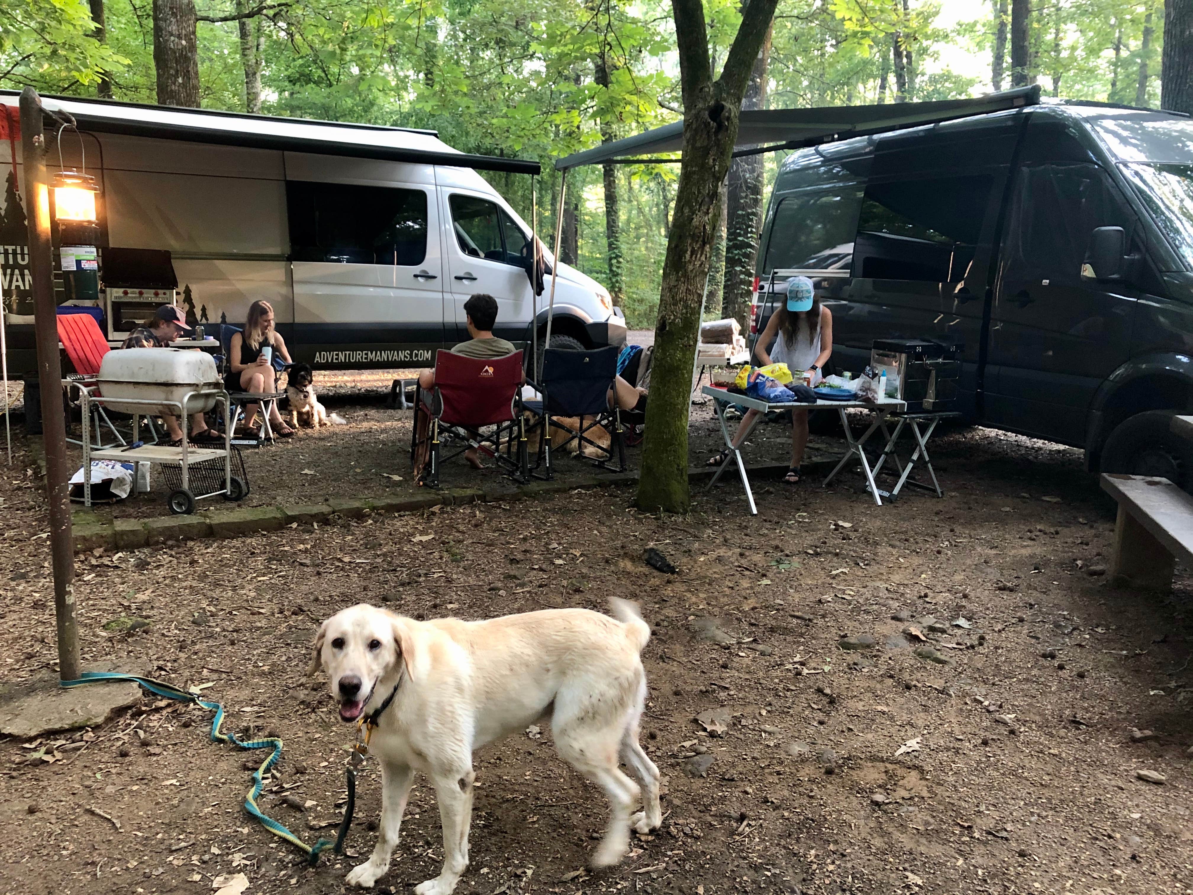 Matt's photo of camping with pets at Redding Campground near Combs, AR