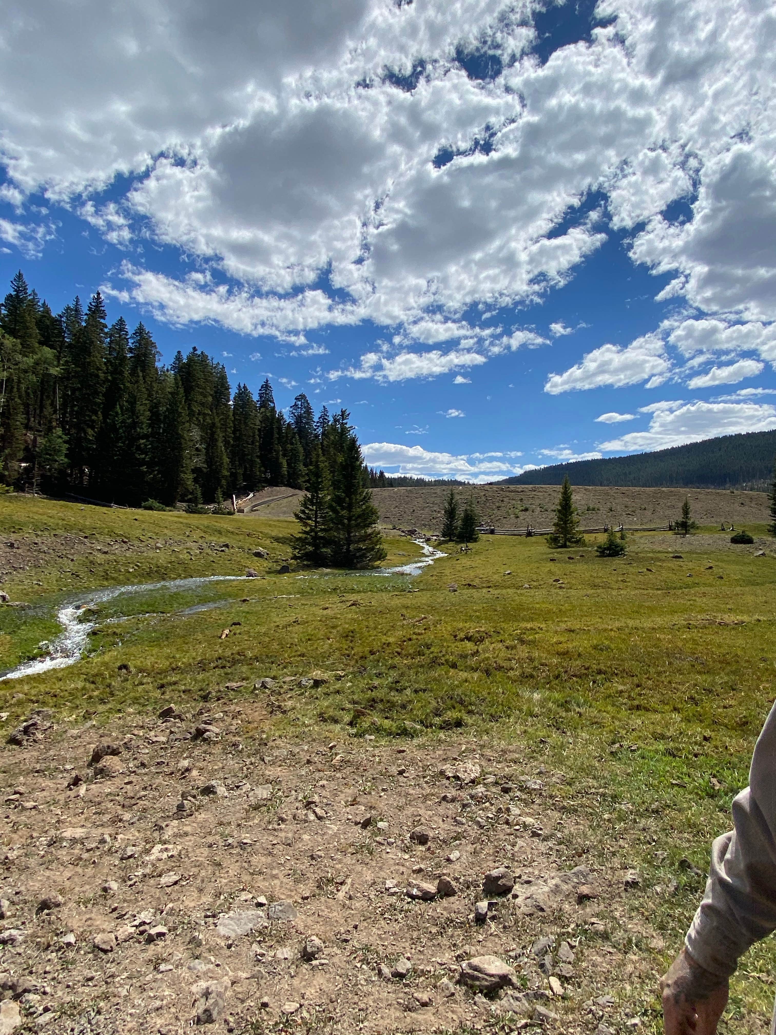 Camper submitted image from LeBaron Reservoir Campground - 3