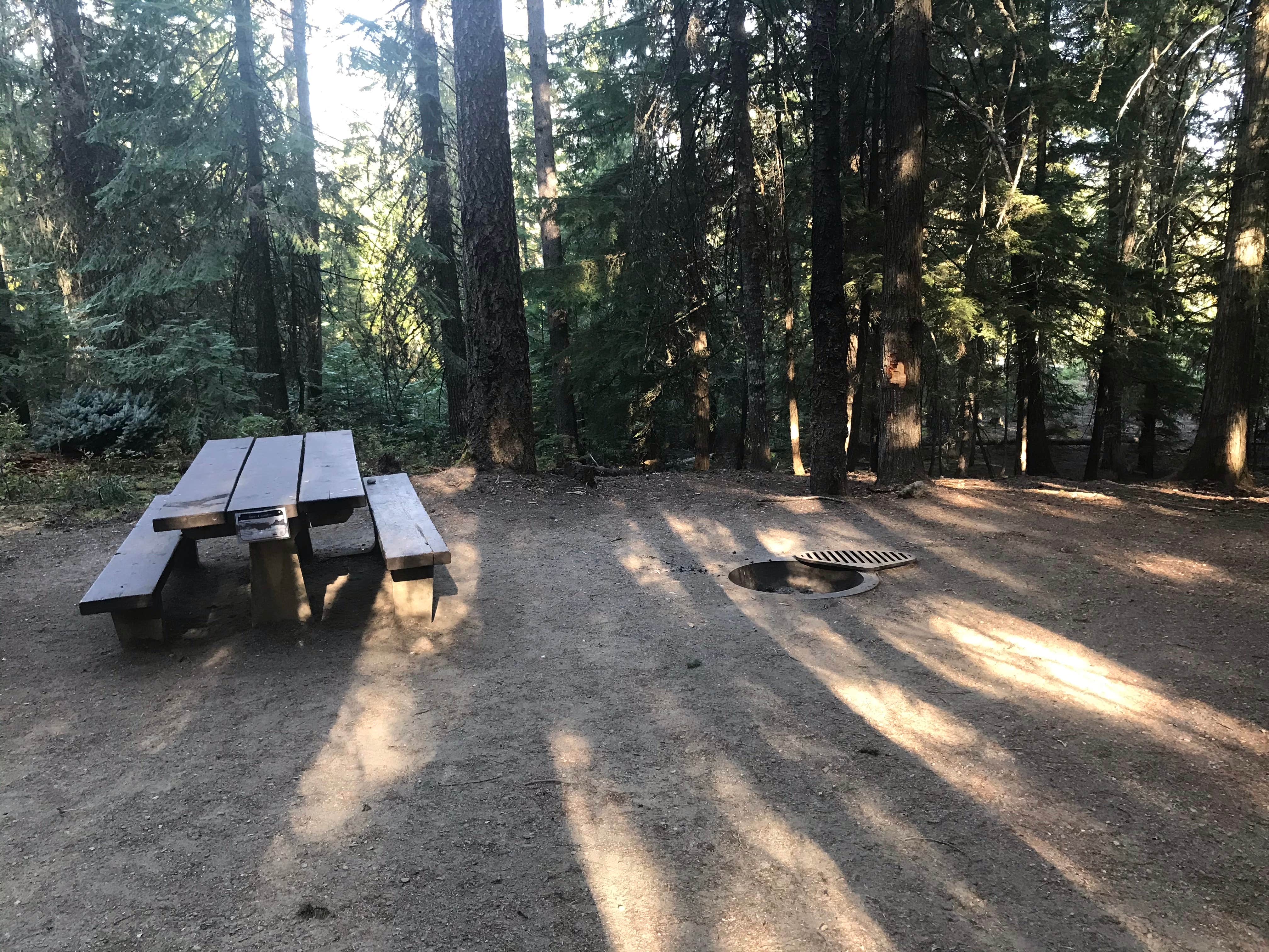 Nanette C.'s photo at Luby Bay Campground near Bonners Ferry, ID