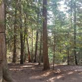 Review photo of Luby Bay Campground by Nanette C., September 7, 2020