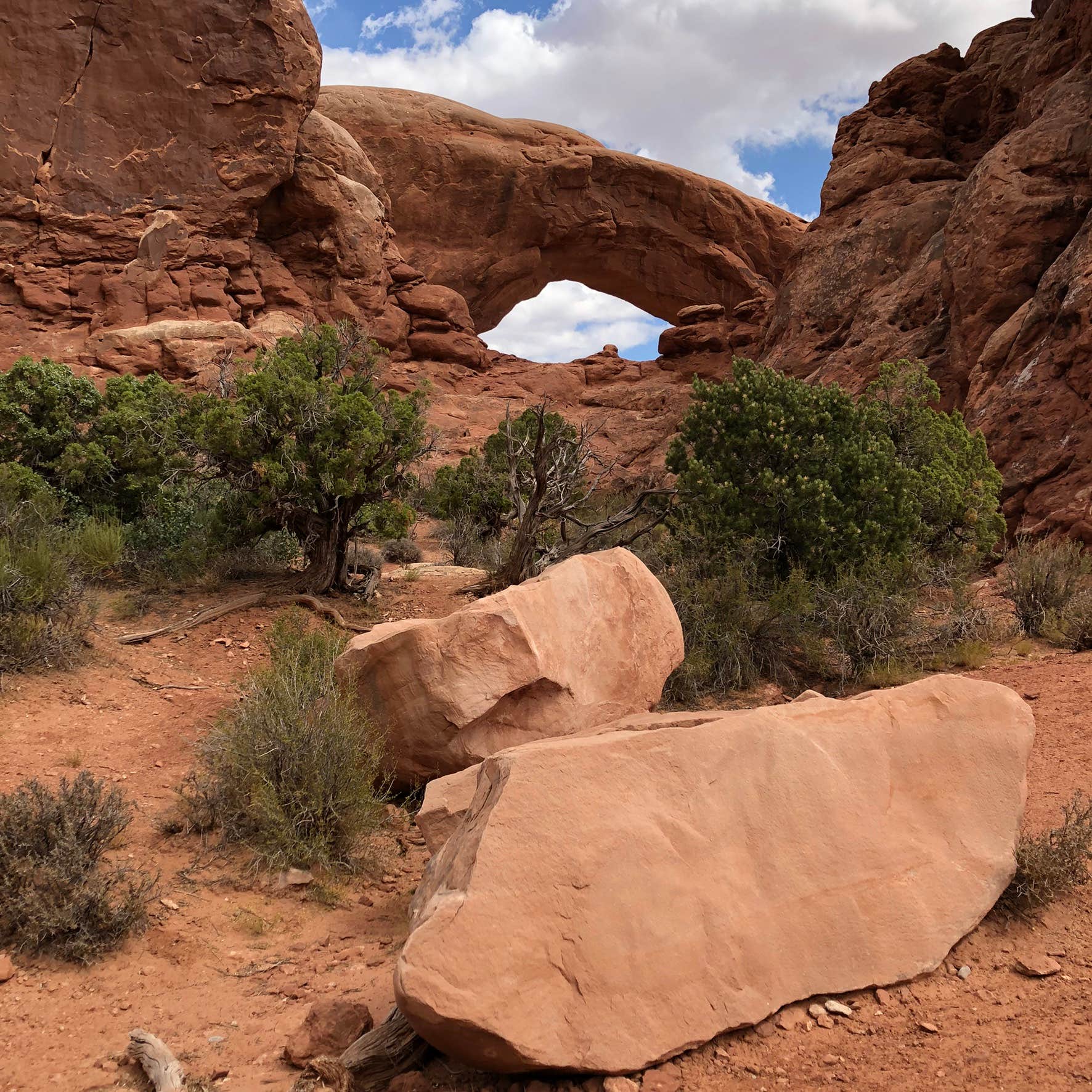 Camper submitted image from Under Canvas Moab - 4