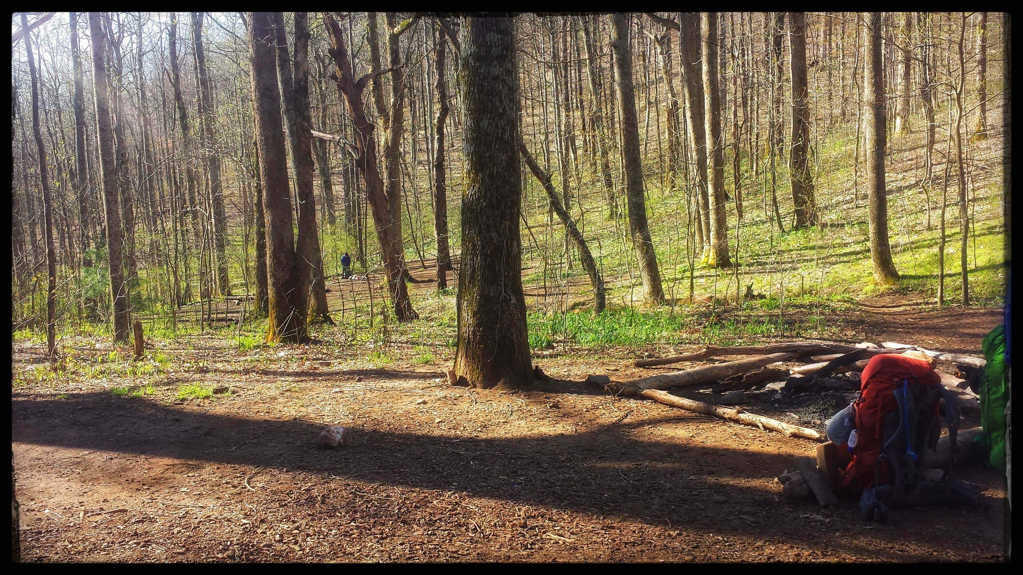 Camper-submitted photo at Low Gap near Young Harris, GA