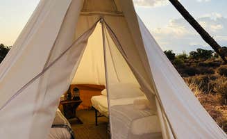 Erik S.'s photo of tent camping at Under Canvas Moab near Castle Valley, UT