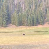 Review photo of Anderson Meadow Campground (fishlake Nf, Ut) by Brittney  C., September 7, 2020