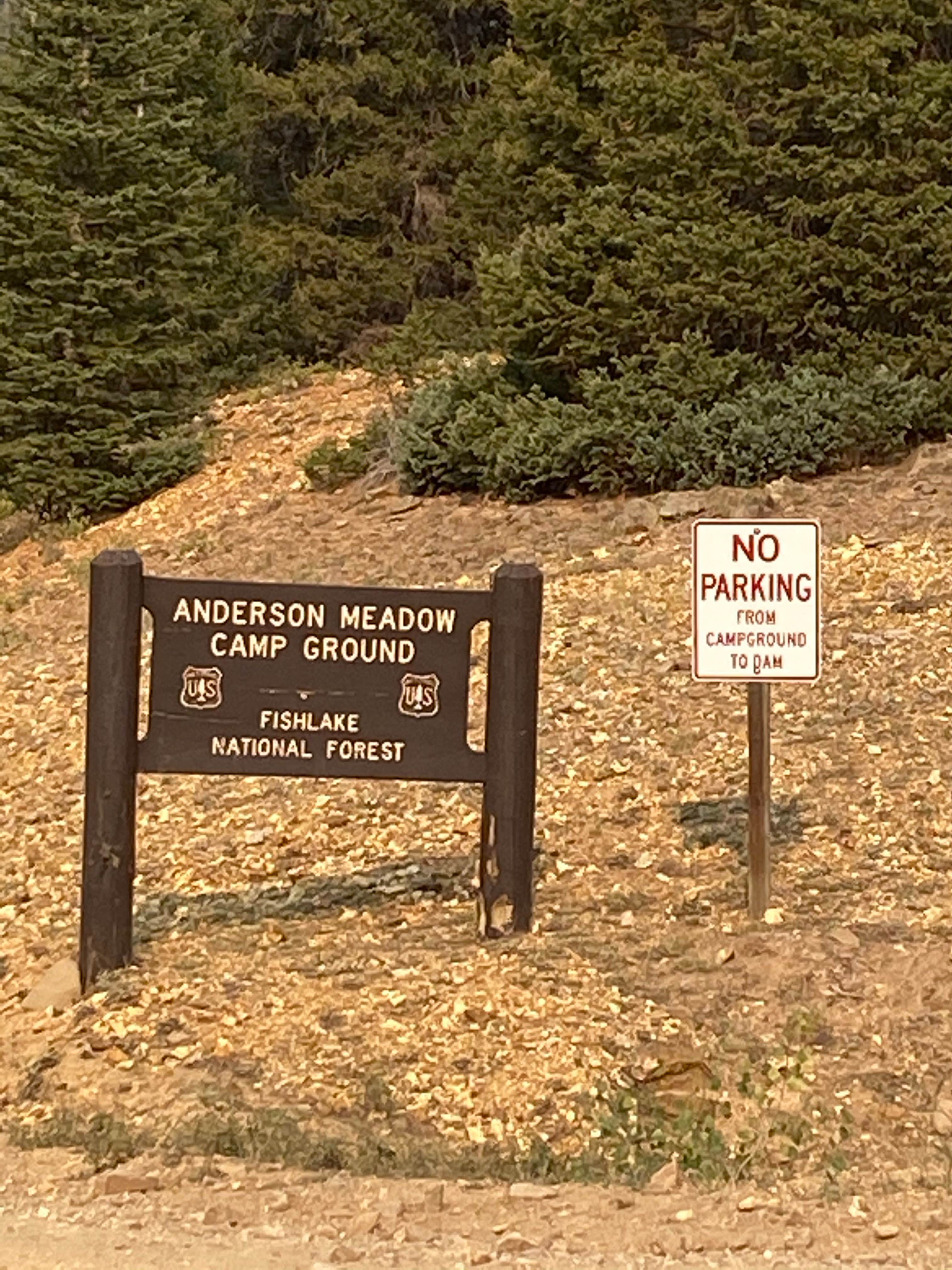 Camper submitted image from Anderson Meadow Campground (fishlake Nf, Ut) - 2