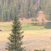 Review photo of Anderson Meadow Campground (fishlake Nf, Ut) by Brittney  C., September 7, 2020
