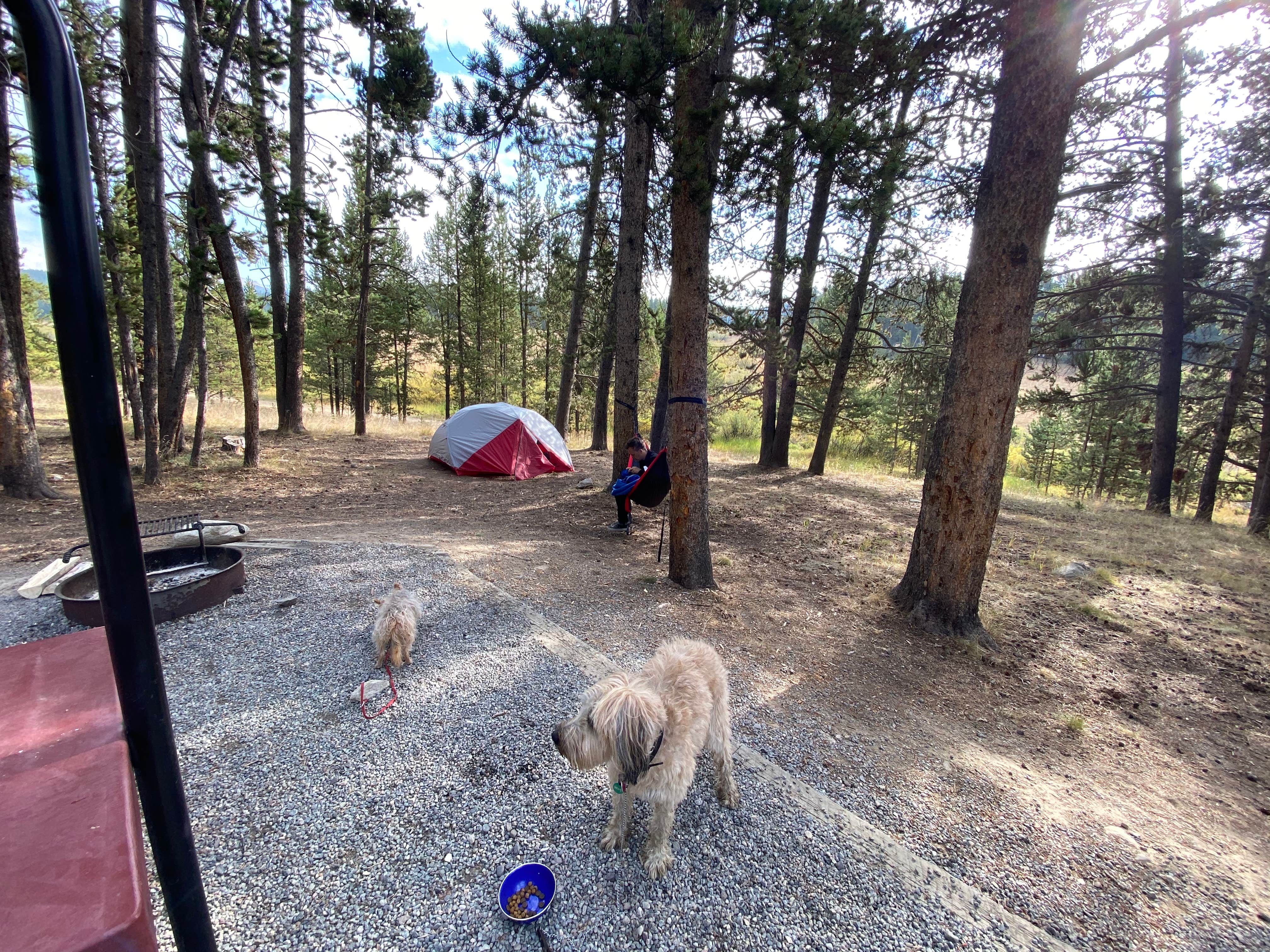 Margarita Z.'s photo at Sitting Bull Campground near Ten Sleep, WY